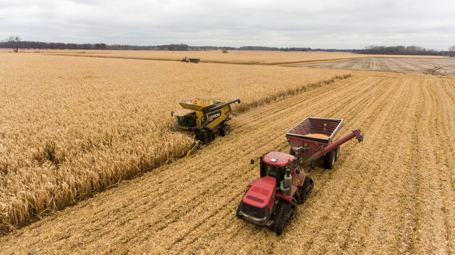 Recuperação Judicial em Mato Grosso: A Análise do Agronegócio pela Jurimetria