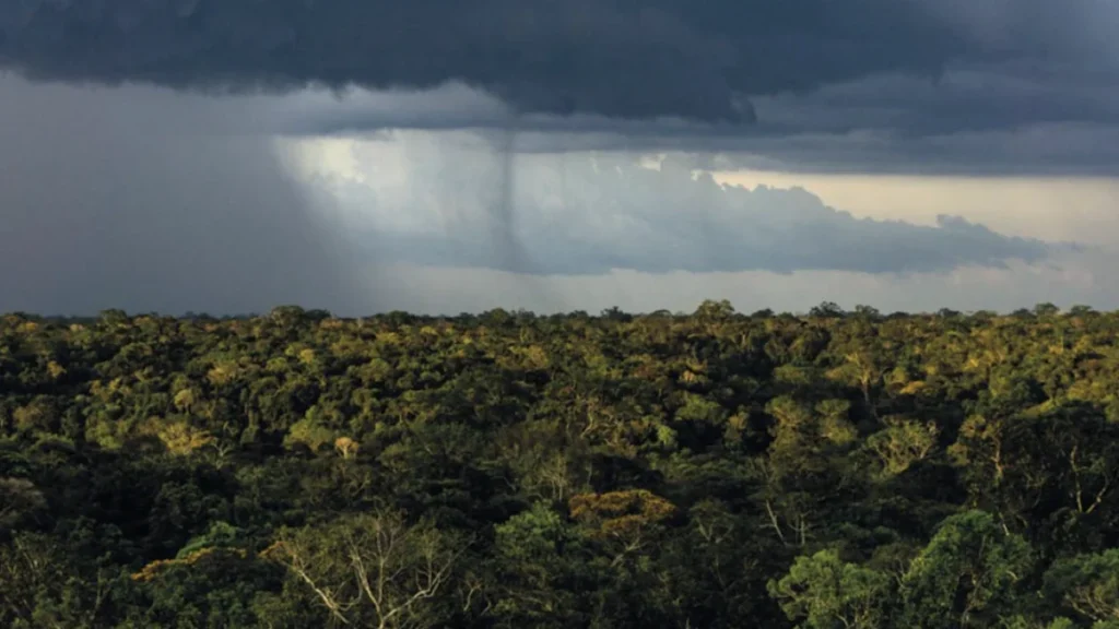 Mudanças Climáticas e Desmatamento Ameaçam Chuvas na Amazônia: Impactos no Cotidiano até 2050 Mudanças Climáticas e Desmatamento Ameaçam Chuvas na Amazônia: Impactos no Cotidiano até 2050
