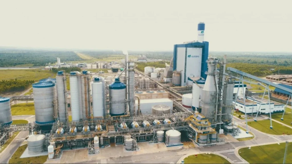 Economia do Maranhão nas Eleições 2026: 5 Fatores que Influenciam o Voto do Eleitor Economia do Maranhão nas Eleições 2026: 5 Fatores que Influenciam o Voto do Eleitor