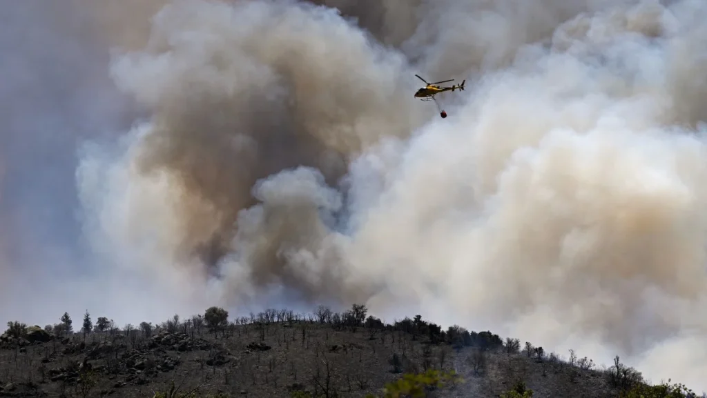 Incêndios na Europa destroem mais de 17 mil hectares em meio ao calor extremo Incêndios na Europa destroem mais de 17 mil hectares em meio ao calor extremo