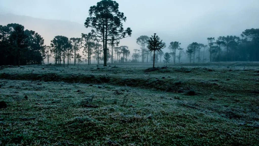 Clima em Julho 2026: Frio Intenso e Chuvas Acima da Média no Brasil Clima em Julho 2026: Frio Intenso e Chuvas Acima da Média no Brasil