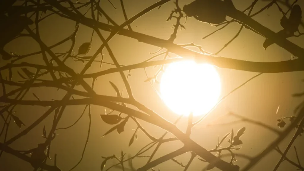 Clima em agosto: alerta de tempestades e baixa umidade impactam o Brasil